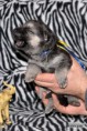 /album/fotogalereya-fotogalereya/dsc-0516kob-jpg1/